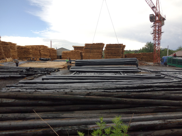 防腐油木桿、防腐油炸桿4