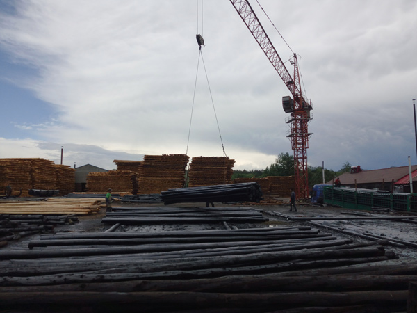 防腐油木桿、防腐油炸桿5