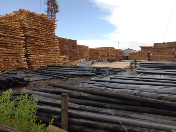 防腐油木桿、防腐油炸桿6